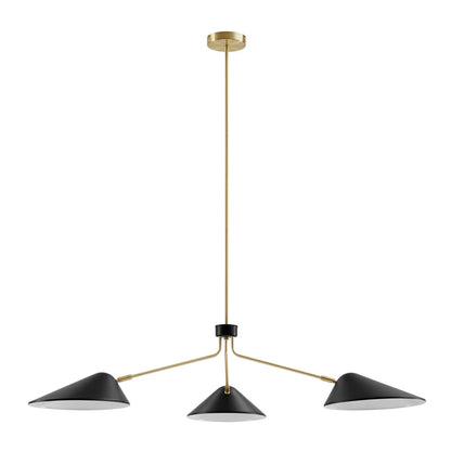 Ramon 3-Light 14" Arm Pendant, Black